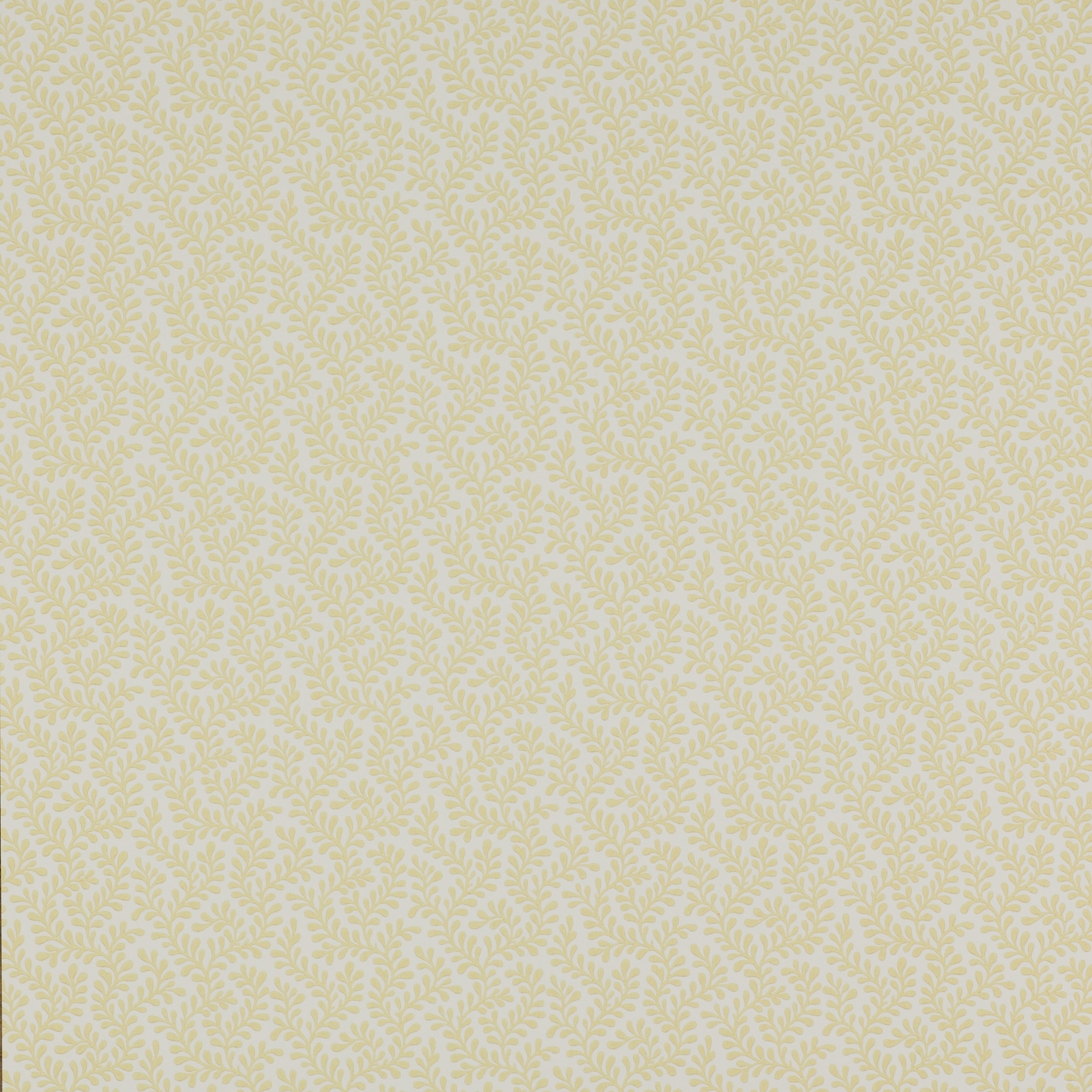 Обои Colefax&Fowler Small Design 07985-01