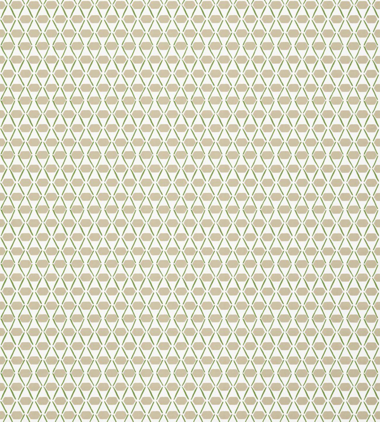 Обои Thibaut Canopy T14329