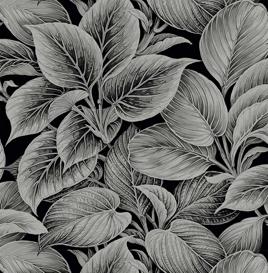 Обои Paper&Ink Shades of White WS70300