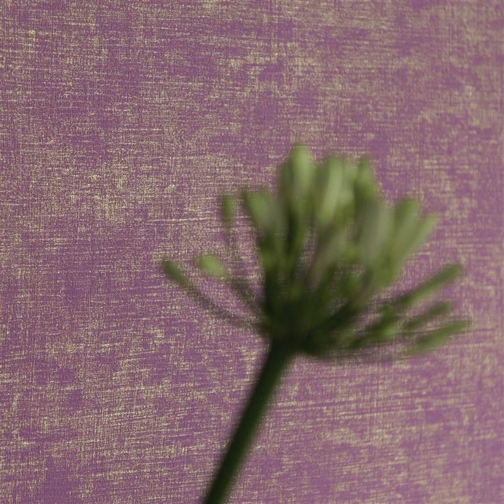 Обои Designers Guild Contarini 604-18