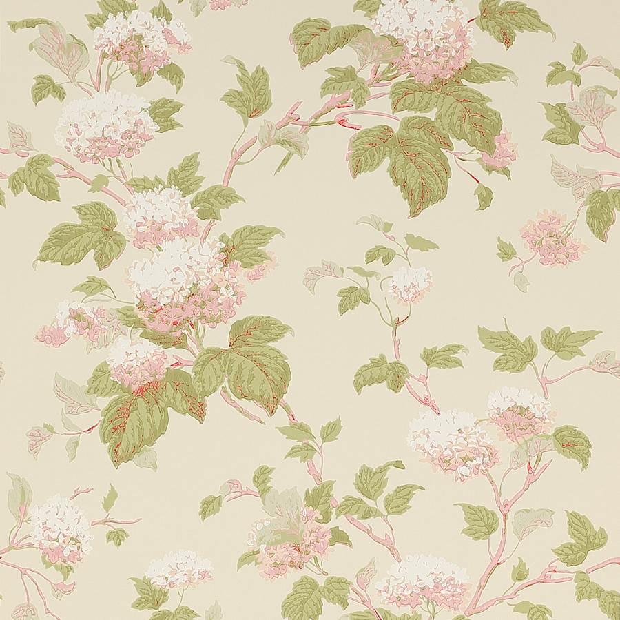 Обои Colefax&Fowler Jardine Florals 07816-08
