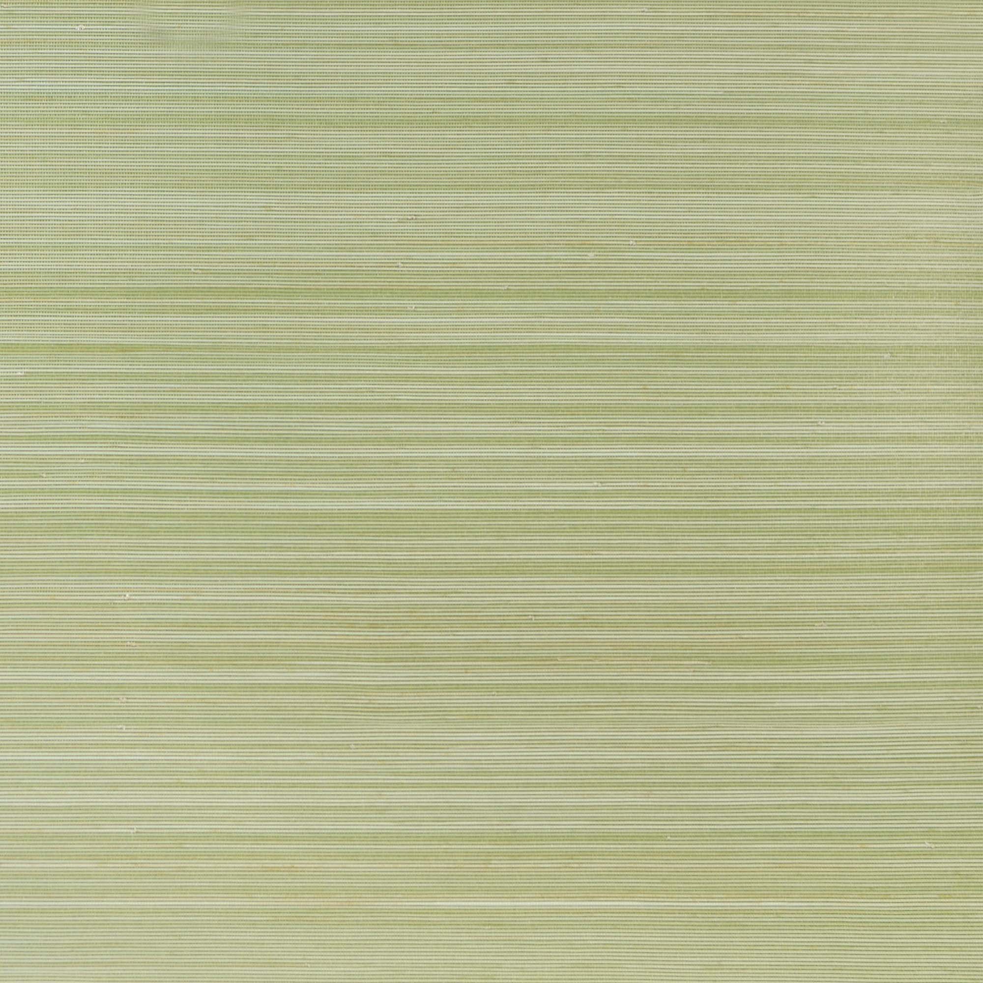 Обои Daisy Bennet Natural Wallcoverings II DB46112