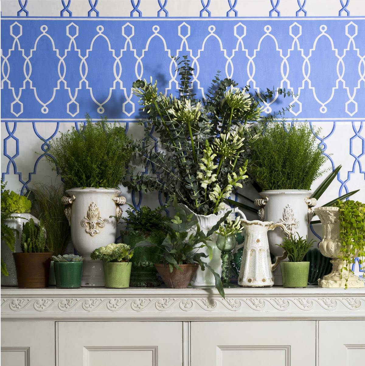 Обои Cole&Son Folie 99-3012