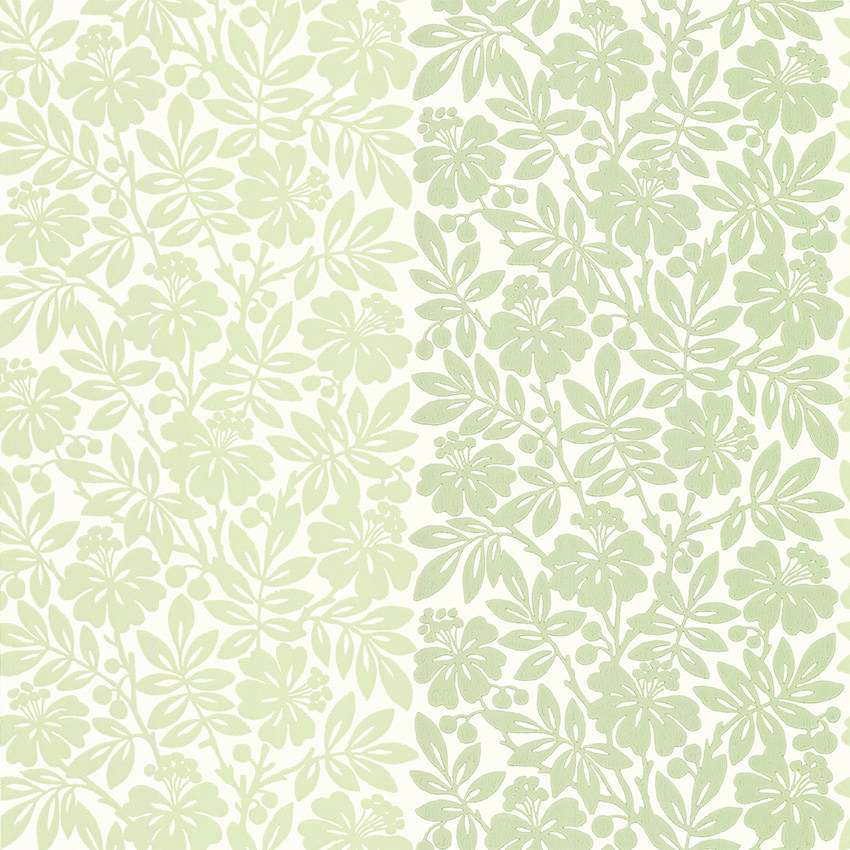 Обои Little Greene Painted Papers 0286CTSOLTI