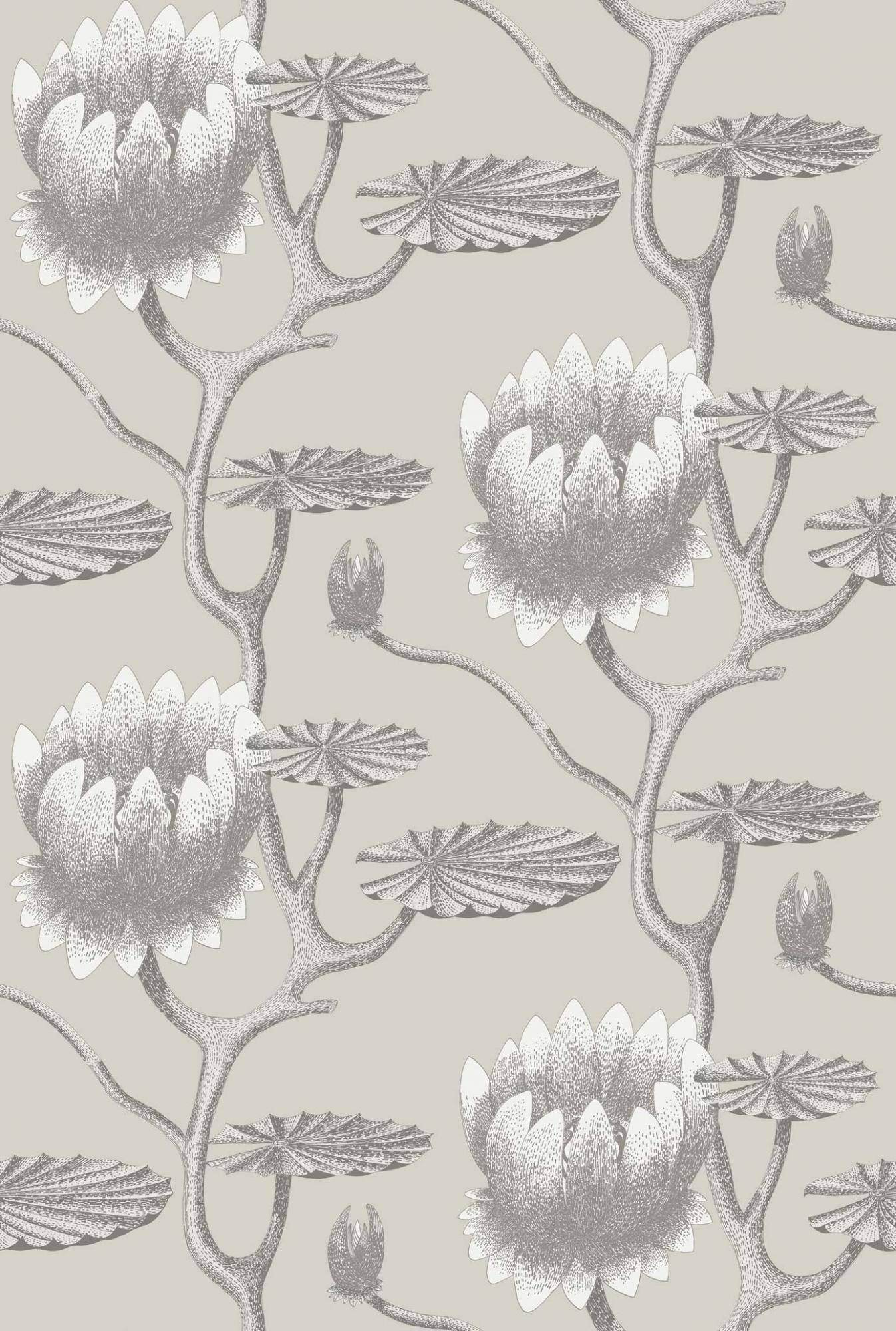 Обои Cole&Son Contemporary Restyled 95-4025
