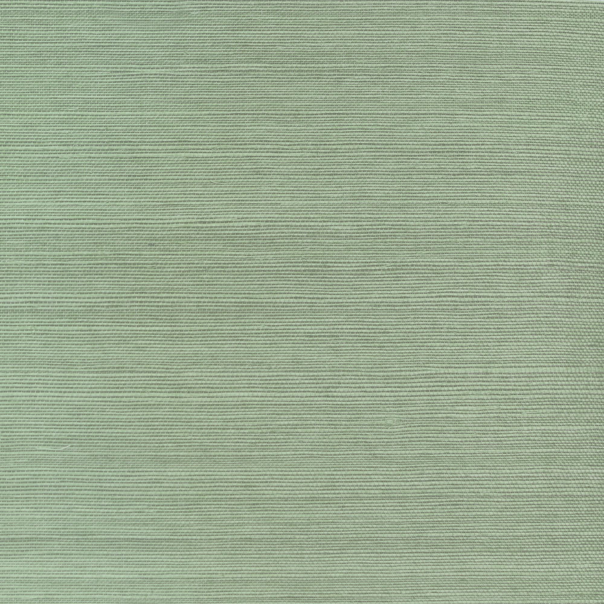 Обои Daisy Bennet Natural Wallcoverings II DB46004