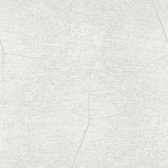 Обои Casadeco So White 4 SWHT83760101