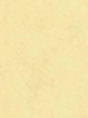 Обои Osborne&Little Album 6 CW5410-31