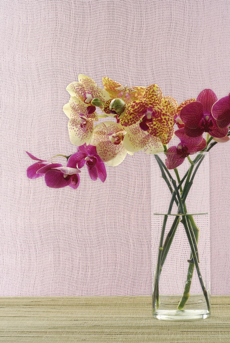 Обои Epoca Wallcoverings Raffaello KTE04012
