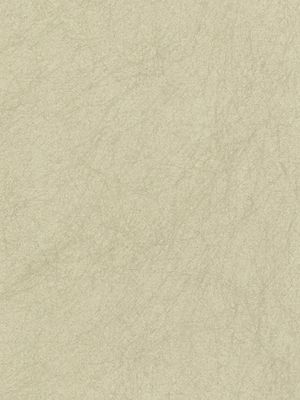 Обои Osborne&Little Album 6 CW5410-28