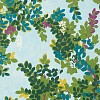 Обои Thibaut Canopy T14334