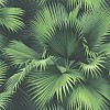 Обои KT Exclusive (Flagman Series) Palm Springs PS40104