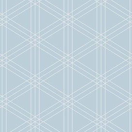 Обои Paper&Ink Pure Elements SY20902