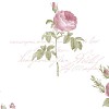 Обои Aura Rose Garden CG28820