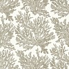 Обои Thibaut Tropics T10140