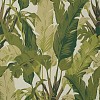 Обои Thibaut Tropics T10131