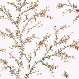 Обои Daisy Bennet Woodlands Resource JB20201