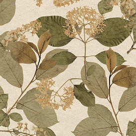 Обои Decoprint Herbarium HE27231