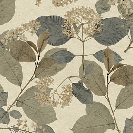Обои Decoprint Herbarium HE27232
