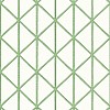 Обои Thibaut Tropics T10138