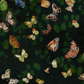 Обои Coordonne Naturae 9500050V