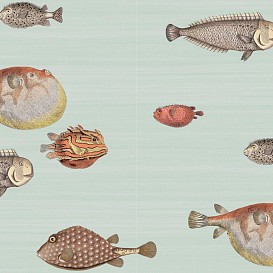 Обои Cole&Son Fornasetti Senza Tempo 97-10030