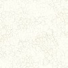 Обои Mayflower Transition FJ31210