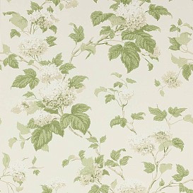 Обои Colefax&Fowler Jardine Florals 07816-09