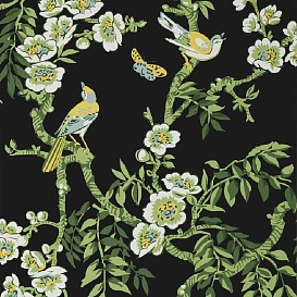 Обои Thibaut Eden T20845