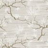 Обои Paper&Ink Shades of White WS70108
