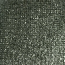 Обои Arte Monsoon 75115