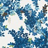 Обои Thibaut Canopy T14330