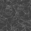 Обои Collins&Company Casa Blanca 2 AW71420