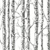 Обои York Black & White Resource Library BW3902