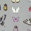 Обои Clarke&Clarke Botanica Wallpapers W0094-02
