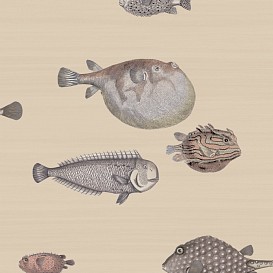 Обои Cole&Son Fornasetti Senza Tempo 114-16033