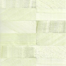 Обои Paper&Ink Specialty Grasscloths&Veneers NS51503