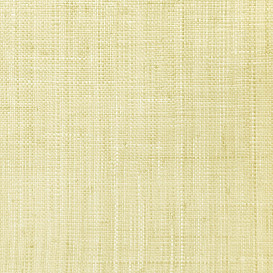 Обои Daisy Bennet Natural Wallcoverings II DB46219