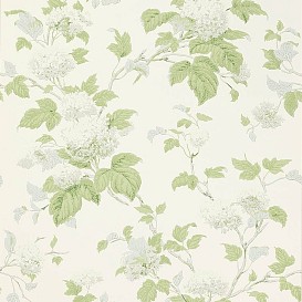 Обои Colefax&Fowler Jardine Florals 07816-07
