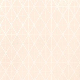 Обои Thibaut Modern Resource T444
