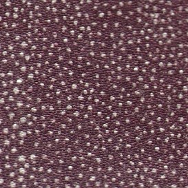 Обои Elitis Nature Precieuse RM-555-54