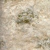Обои Arlin Alchimia 8