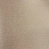 Обои Epoca Wallcoverings Amazon River AR7009