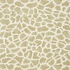 Обои Thibaut Colony T10224