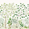 Обои Sanderson Arboretum DABW217211