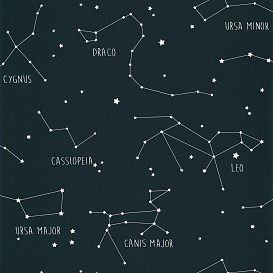Обои Caselio Our Planet OUP101916918