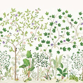 Обои Sanderson Arboretum DABW217211