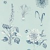 Обои Clarke&Clarke Secret Garden W0197-04