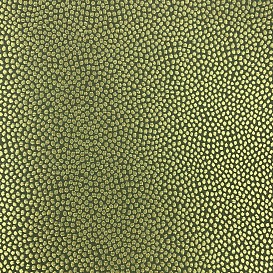 Обои Epoca Wallcoverings Amazon River AR7008
