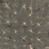 Обои Coordonne Shibori B00910N